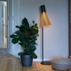Secto Design 4210 gulvlampe - Birkefinér