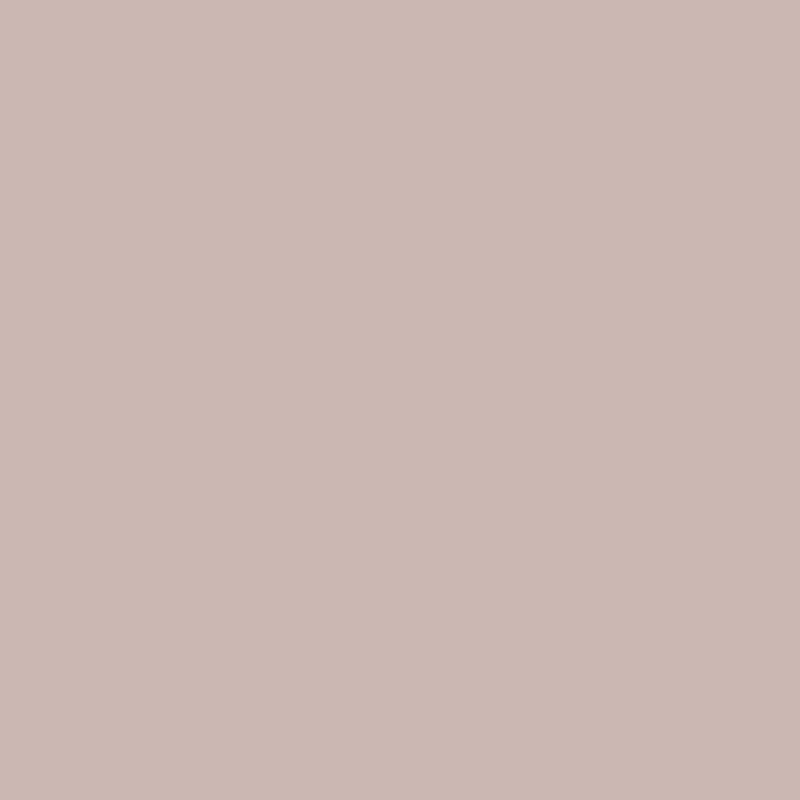 137 Mushroom