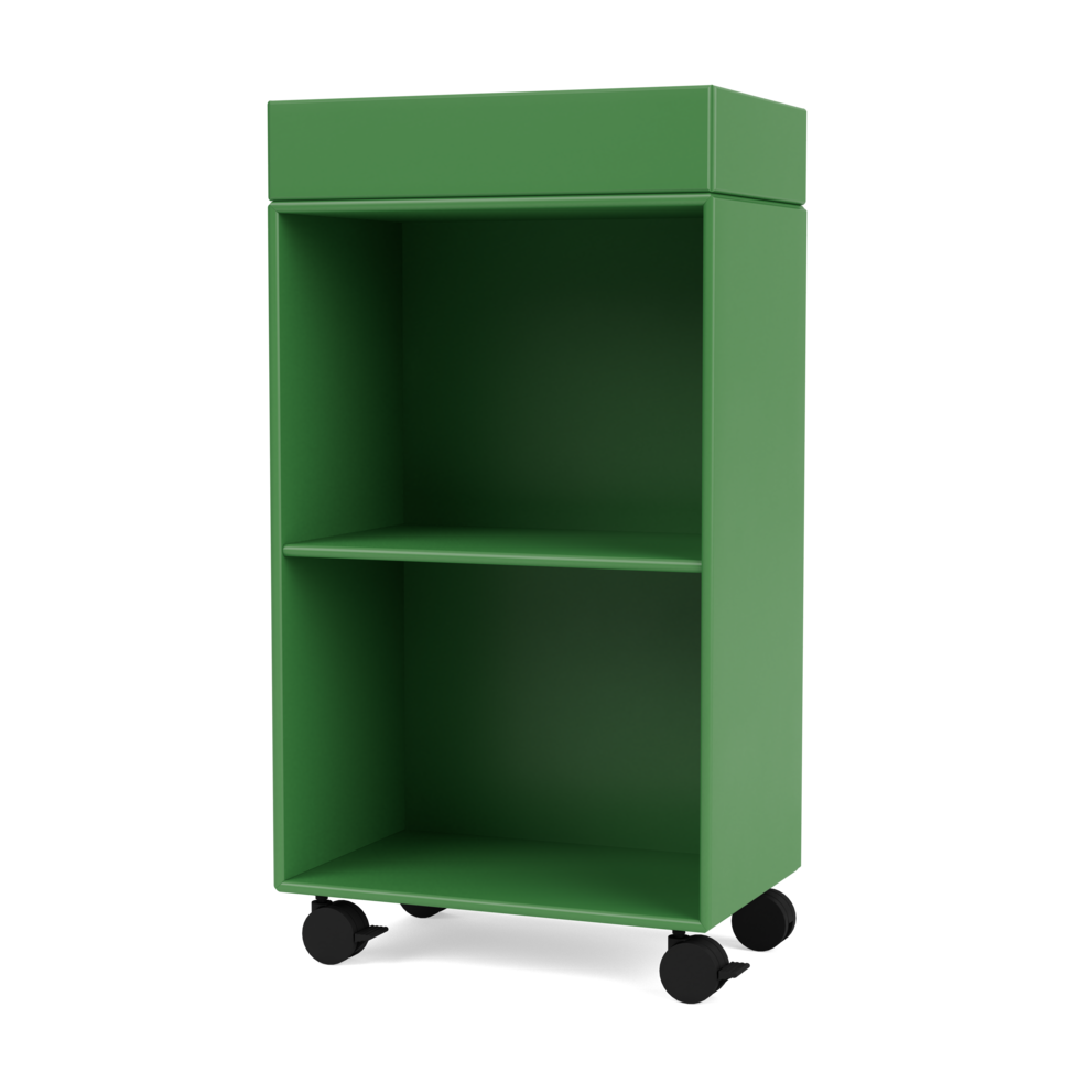 Montana Selection - PREPPY