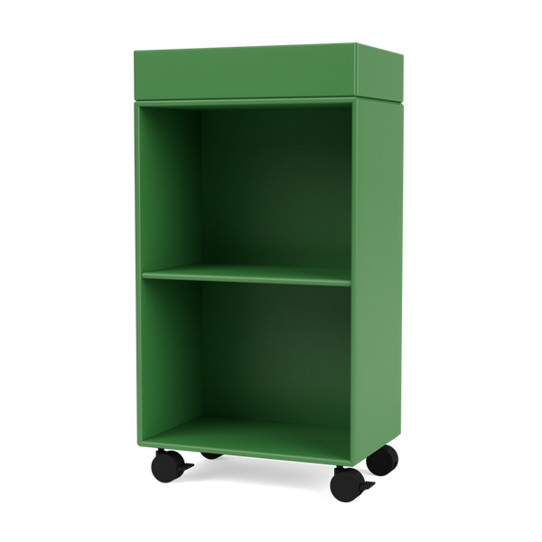 Montana Selection - PREPPY