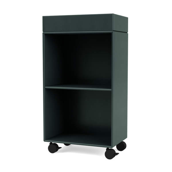 Montana Selection - PREPPY