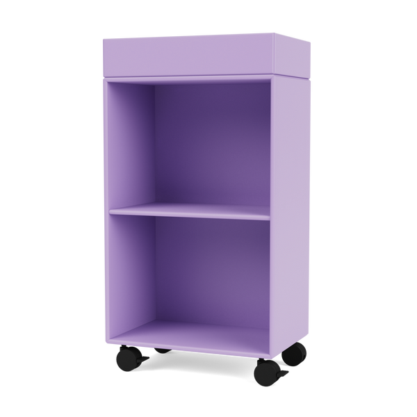 Montana Selection - PREPPY