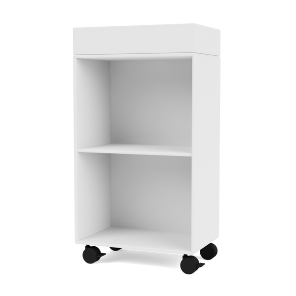 Montana Selection - PREPPY