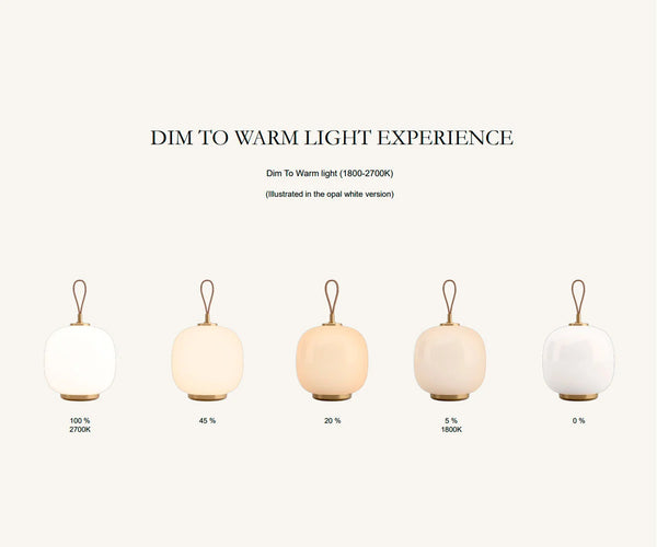 Louis Poulsen VL 45 Radiohus portable